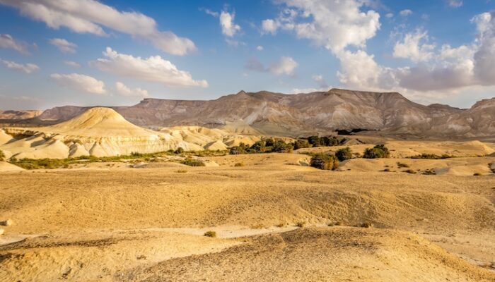 Haji Ilegal Berakhir Tragis: WNI Ditemukan Tewas di Tengah Gurun