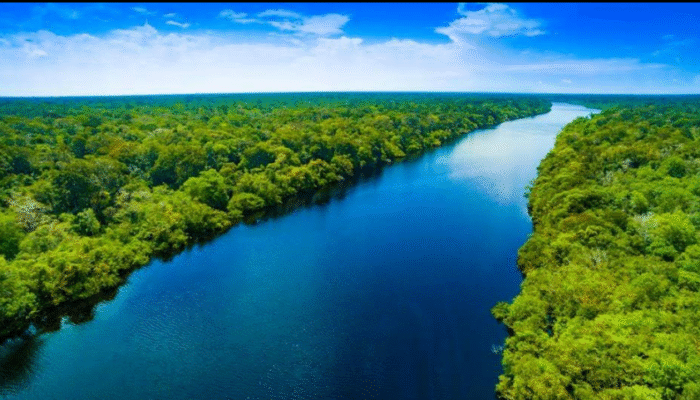 Perang Rating: Netizen Indonesia Hujani Hutan Amazon Bintang 1 di Google Maps