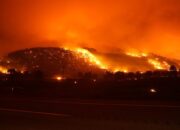 Terbesar Tahun ini, Kebakaran Madre Fire Luluhlantahkan Ribuan Hektare Hutan California