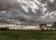 Prakiraan Cuaca  Jatim Hari Ini 10 Februari 2026, Potensi Hujan Petir di Siang Hari