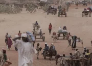 PBB Peringatkan Krisis Kemanusiaan di Tengah Genosida El-Fasher