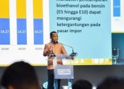 E10: Peluang Emas Petani atau Ancaman Ketahanan Pangan?