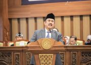 Menang di WTO, Sawit Indonesia Siap Gempur Pasar Global: Tapi, Bagaimana dengan Hutan Kita?