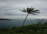 BMKG Ungkap Kombinasi Faktor Penyebab Angin Kencang di Jawa Timur